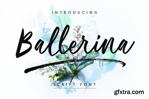 CM - Ballerina Script Font 2948023