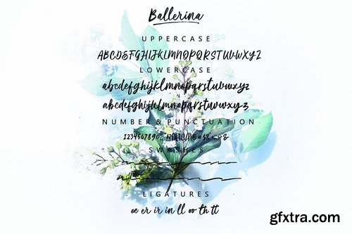 CM - Ballerina Script Font 2948023