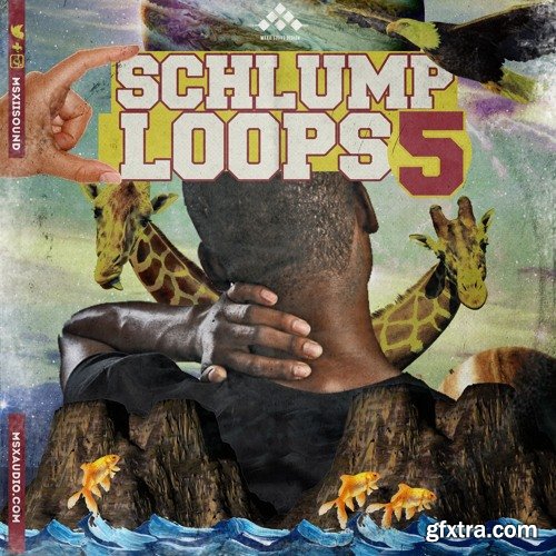 MSXII Schlump Loops 5 WAV-DECiBEL