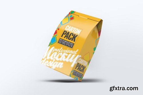 Carton Box Pack Mock-Up