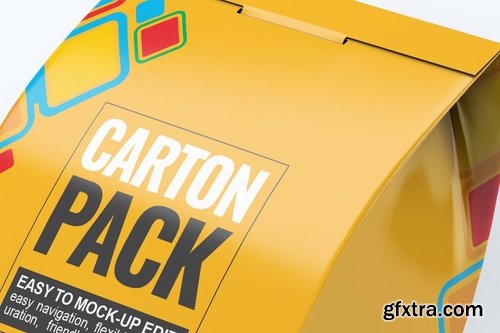 Carton Box Pack Mock-Up