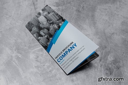 Company Trifold Brochure