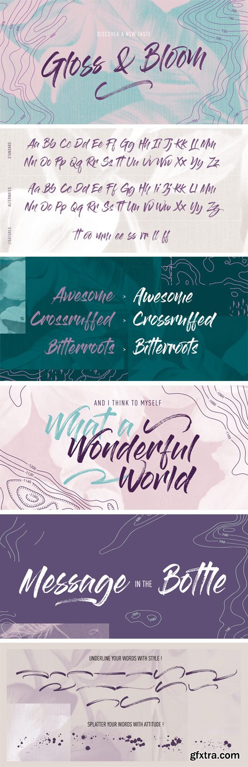 Gloss And Bloom Font