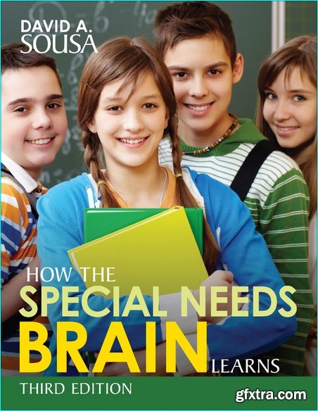 How the Special Needs Brain Learns