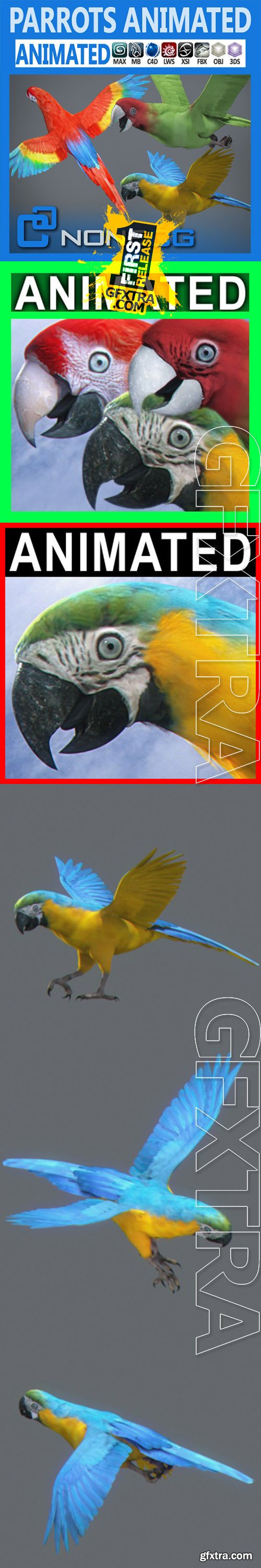 Cgtrader - Animated Parrots Pack 3D model