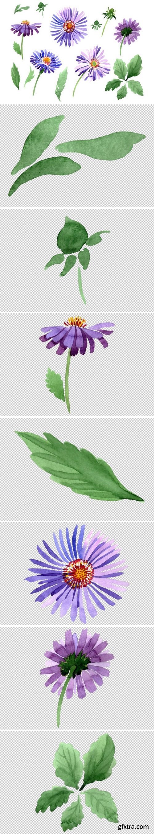 CM - Asters Watercolor png 3486269