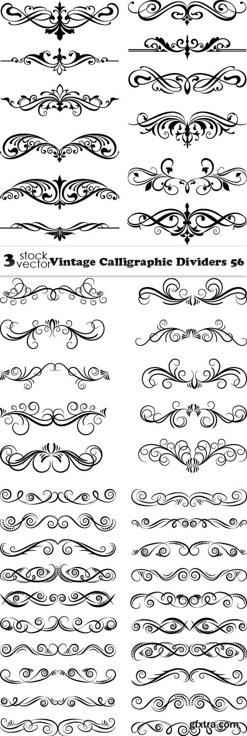 Vectors - Vintage Calligraphic Dividers 56