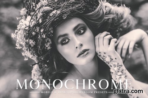 CM - Monochrome Lightroom Presets Pack 3498261