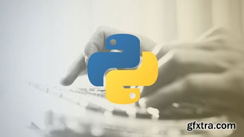 Become a Professional Python Programmer