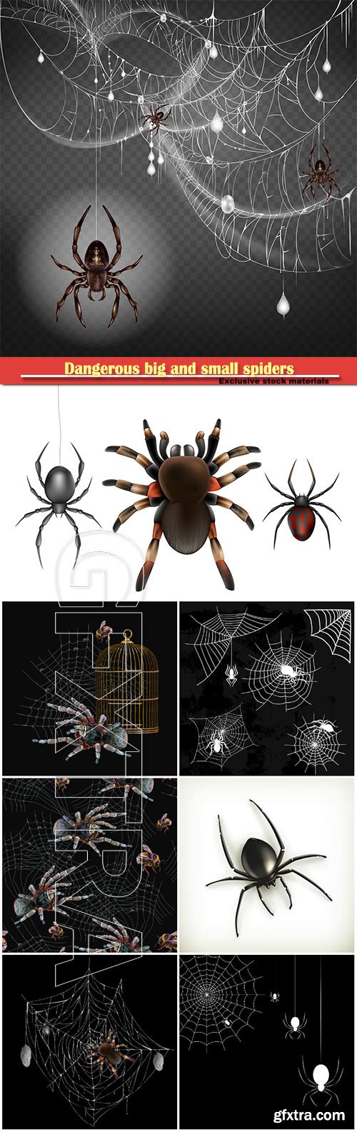 Dangerous, poisonous big and small spiders hanging on thin web string in 3d realistic vector illustration