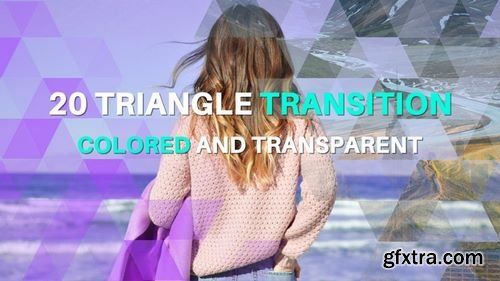 MotionArray Triangle Transitions 184632