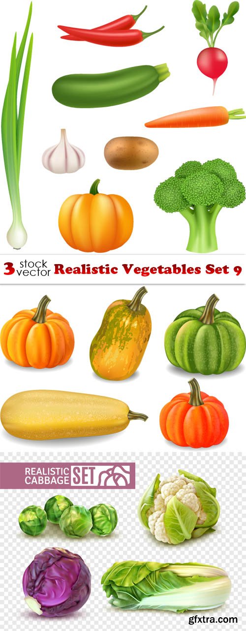 Vectors - Realistic Vegetables Set 9