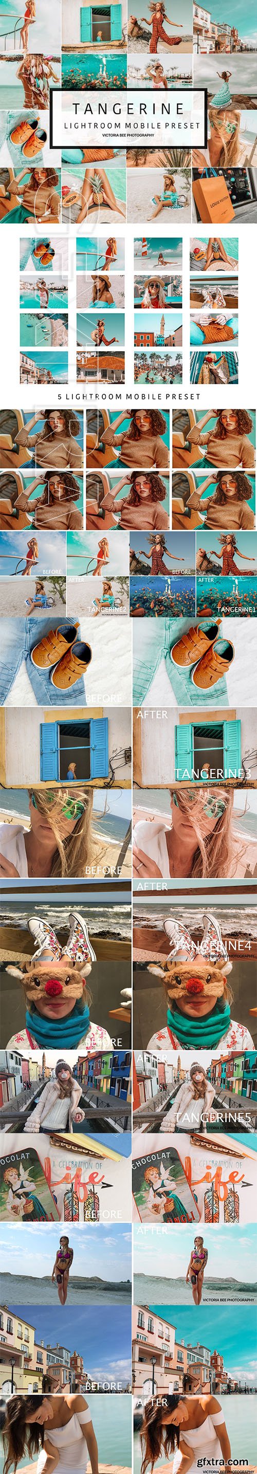 CreativeMarket - 5 Mobile Lightroom presets TANGERINE 3491216