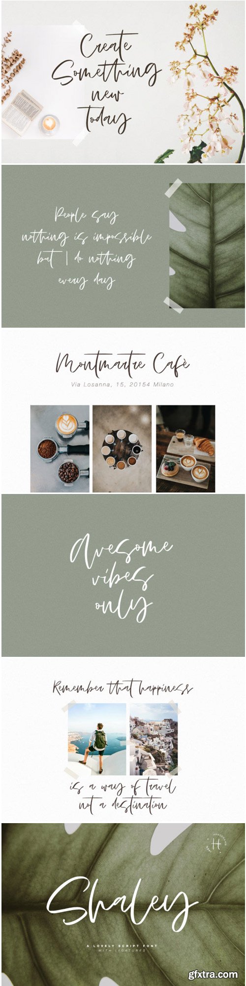 Shaley Script Font