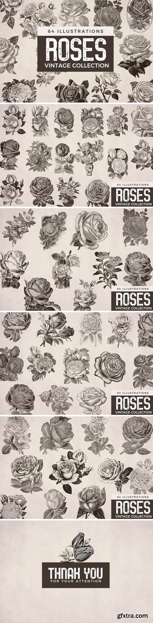 Vintage Roses - Illustration Collection