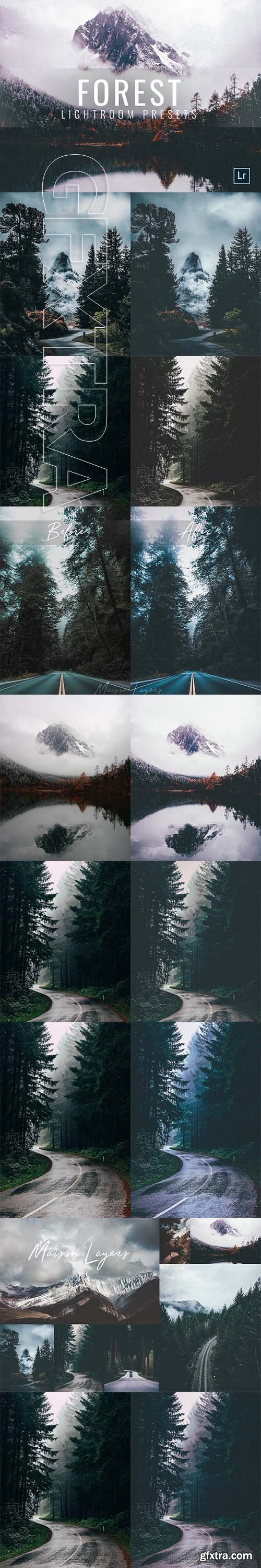 CreativeMarket - Lightroom Presets Moody Forest 3336411