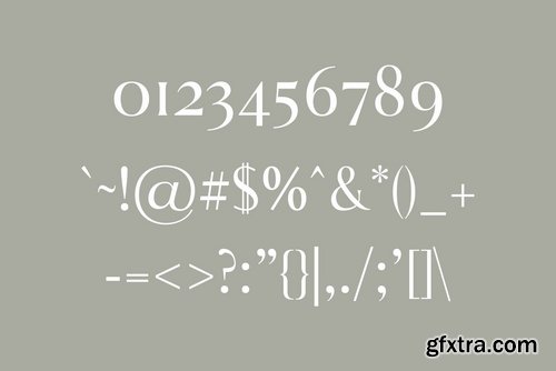 CM - Aadam A Modern Serif Font Family 3507310