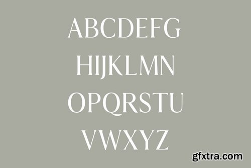 CM - Aadam A Modern Serif Font Family 3507310