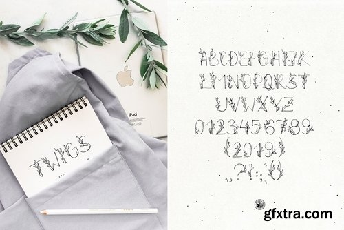 CM - Twigs Font 3507943