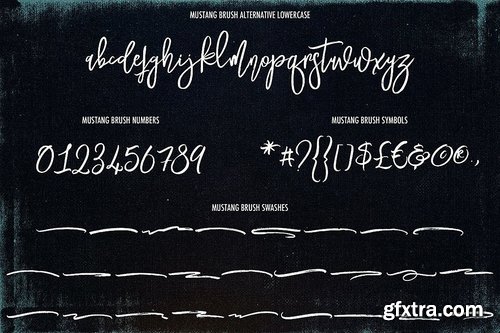 CM - Mustang Brush Font 3494858