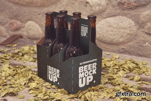 6 Pack Beer Box