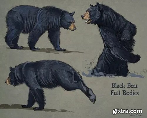 CreatureArtTeacher - Aaron Blaise - How to Draw Bears