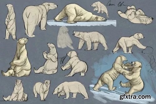 CreatureArtTeacher - Aaron Blaise - How to Draw Bears