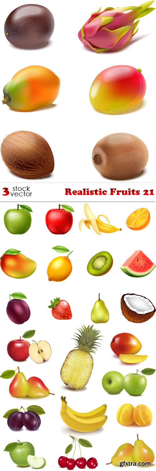 Vectors - Realistic Fruits 21