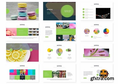 Anima - Powerpoint Keynote and Google Slides Templates