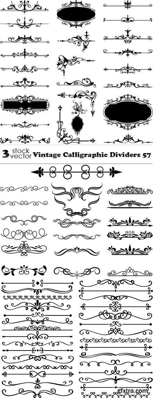 Vectors - Vintage Calligraphic Dividers 57