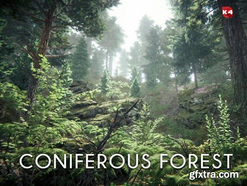 Coniferous forest