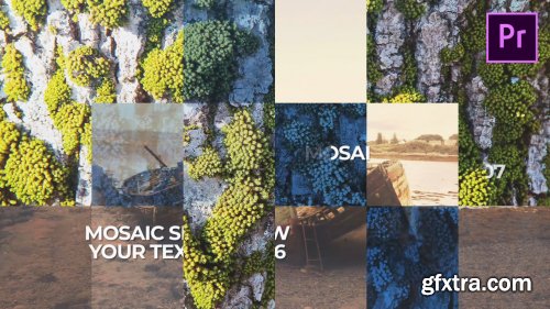 Mosaic Slideshow - Premiere Pro Templates 143995