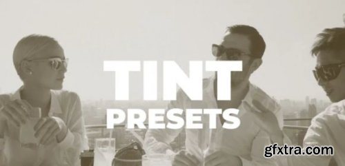 Tint Presets 188032