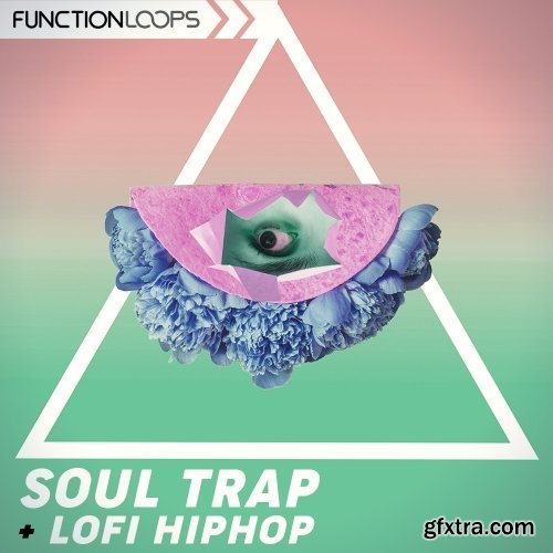 Function Loops Soul Trap And Lo-Fi Hip Hop WAV MiDi-DISCOVER