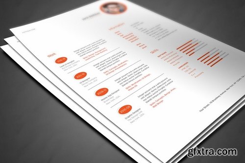 Business Resume Template