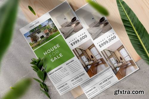 Real Estate Flyer 2