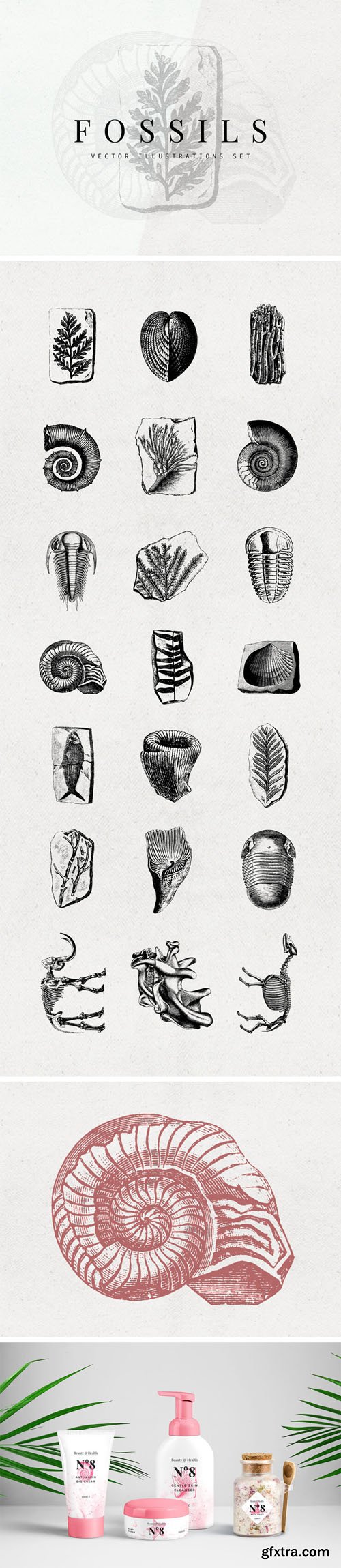 21 Fossils Vector Illustrations Set