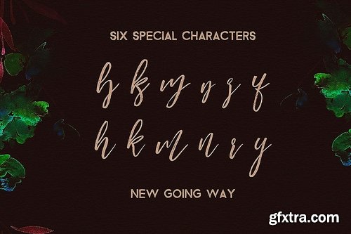 CM - Harmony King - Brush Font 3513616