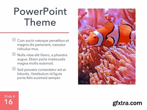 Living Coral PowerPoint Theme