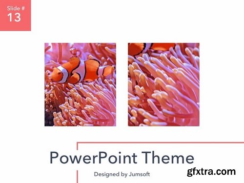 Living Coral PowerPoint Theme