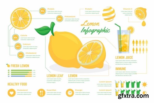 Fresh Lemon Infographic PSD and AI Vector Template