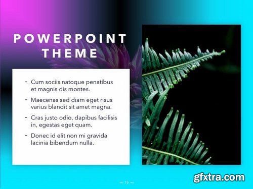 Vivid PowerPoint Theme