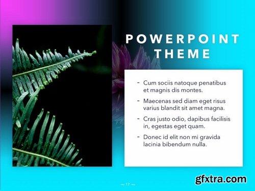 Vivid PowerPoint Theme