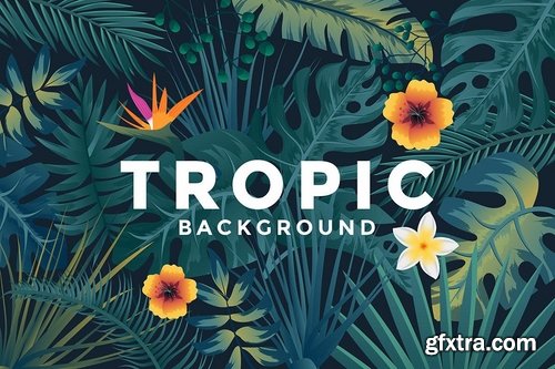 Various Tropical backgrounds with jungle plants