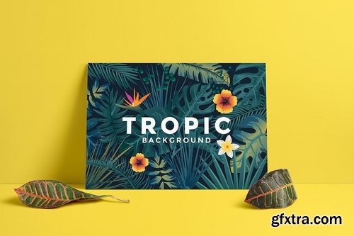 Various Tropical backgrounds with jungle plants