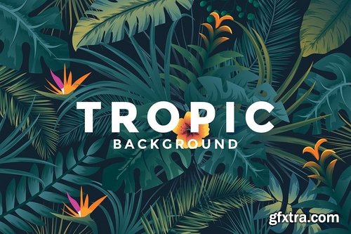 Various Tropical backgrounds with jungle plants