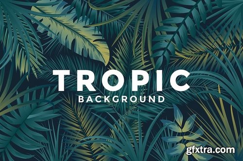 Various Tropical backgrounds with jungle plants