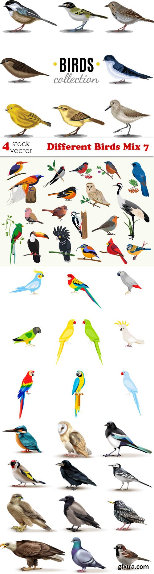 Vectors - Different Birds Mix 7