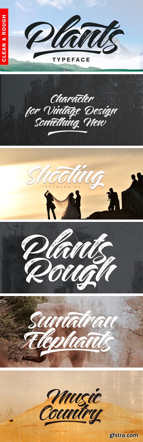 Plants Font Family