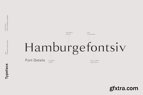 CM - Lara - Sophisticated Serif Typeface 3541702